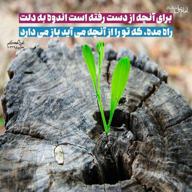 حدیثی از امام علی